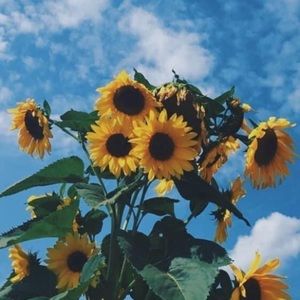 Meet your Posher, Kristin